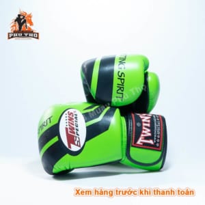 Gang Tay Tap Luyen Thi Dau Muay Thai Kick Boxing Boxing Vo Thuat Twins 3 4