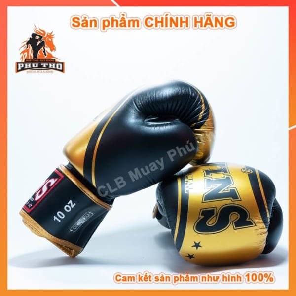 Gang Tay Tap Luyen Thi Dau Muay Thai Kick Boxing Boxing Vo Thuat Twins 4 5