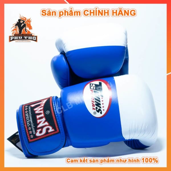 Gang Tay Tap Luyen Thi Dau Muay Thai Kick Boxing Boxing Vo Thuat Twins 4 6