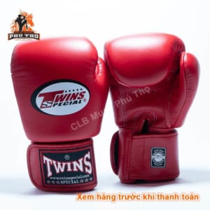Gang Tay Tap Luyen Thi Dau Muay Thai Kick Boxing Boxing Vo Thuat Twins 6 2