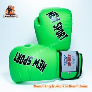 Gang Vo Thuat Newsport Muay Thai Kickboxing Boxing 3