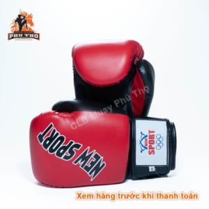 Gang Vo Thuat Newsport Muay Thai Kickboxing Boxing 5