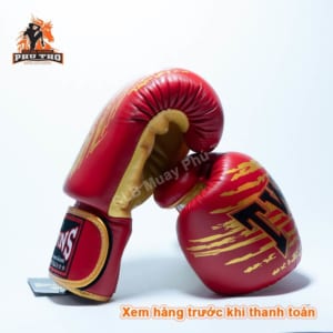 Gang tay tap luyen thi dau Muay Thai Kick Boxing Boxing vo thuat Twins 6